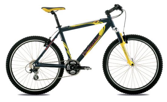 bottecchia 116 29